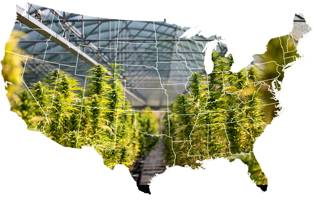 USA map with hemp masked