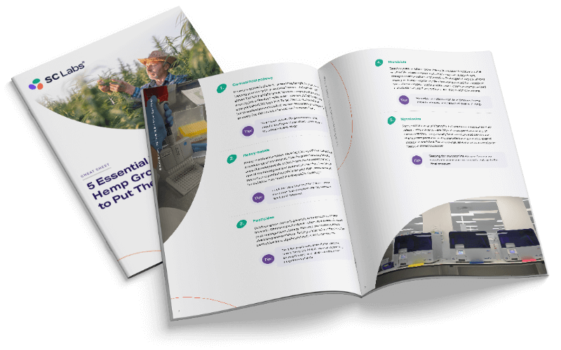 5 Essential Tests Asset image