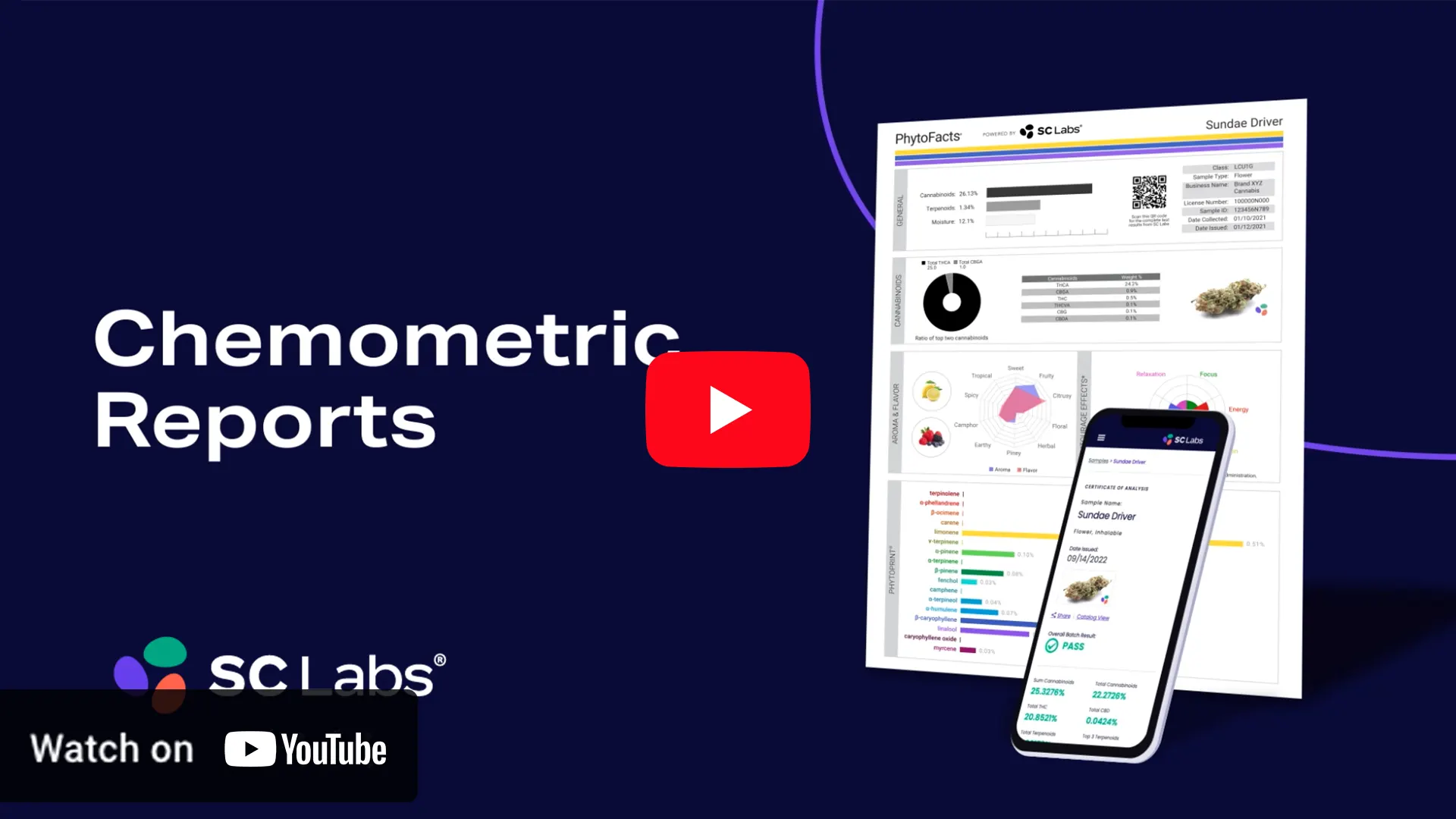 Chemometric Report Video Tour thumbnail