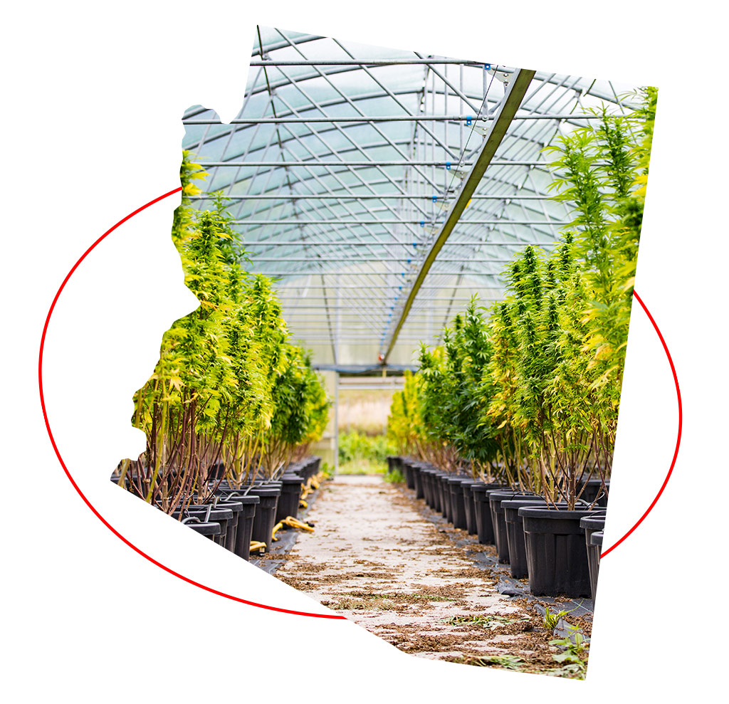 Arizona Cannabis Compliance Testing SC Labs